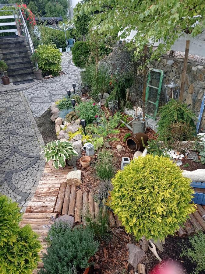 Pokoje Goscinne Cisowa Zielona Gora  Exterior photo